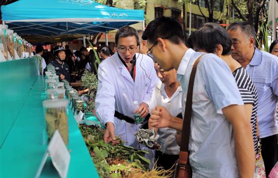 首届端午民俗风情暨药膳美食节活动