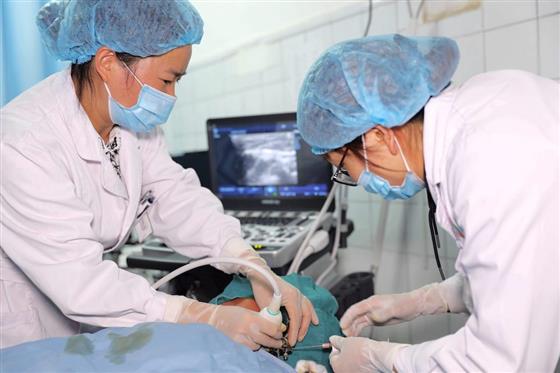 超声引导甲状腺细胞学活检