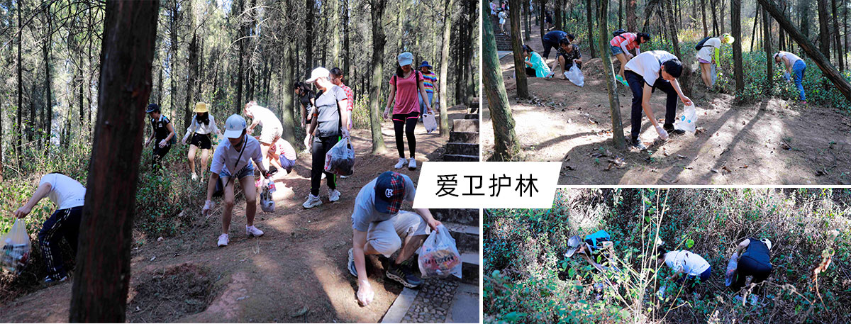 爱卫护林